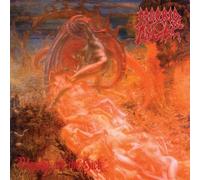 Morbid Angel - Blessed are The Sick