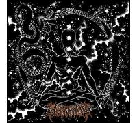 Blessed By the Light of a Thousand Stars