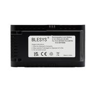 BLESYS Batterie 4000 mAh pour aspirateur Samsung Jet 75E Turbo 75E Pet VS20B75B1R4 VS20B75AGR5 VS20B75AGR5/WA 21,6 V 86,4 Wh