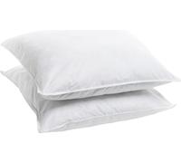 Bleu Calin Lot de 2 oreillers 60x60cm Souples Sensation Duvet Gonflants
