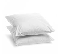 Bleu Câlin Lot de 2 Oreillers Anti-Acariens 60x60cm Confort Ferme
