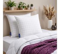 BLEU CALIN Lot de 2 Oreillers Effet Relaxant, Confort Moelleux, Enveloppe Microfibre Douce avec Technologie Antistatique Fils de Carbone, Sommeil Anti-Stress, Fabriqué en France, 60x60cm