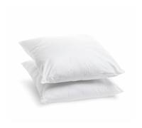 Bleu Câlin Lot de 2 Oreillers Moelleux Anti-Transpiration 60x60cm