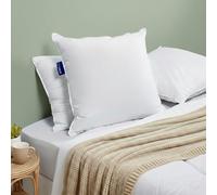 Bleu Calin Lot de 2 Oreillers Souple 60x60cm Sensation Duvet