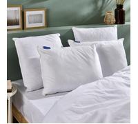 BLEU CALIN Oreiller 65x65cm Ferme - Doux et gonflant - Enveloppe 100% percale de coton