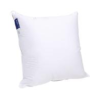 BLEU CÂLIN Oreiller Duvet de Canard 90% - Enveloppe Percale de Coton 101 Fils/cm² - 60x60cm