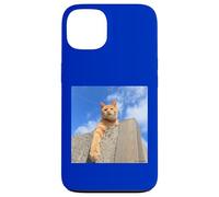 Bleu ciel et thé tigre cat_001 Coque pour iPhone 13