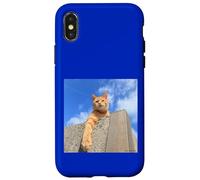 Bleu ciel et thé tigre cat_001 Coque pour iPhone X/XS