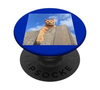 Bleu ciel et thé tigre cat_001 PopSockets PopGrip Adhésif
