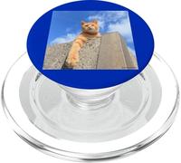 Bleu ciel et thé tigre cat_001 PopSockets PopGrip pour MagSafe