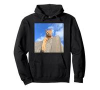 Bleu ciel et thé tigre cat_001 Sweat à Capuche