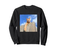 Bleu ciel et thé tigre cat_001 Sweatshirt