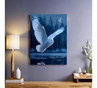 Bleu Impression artistique Chouette des forêts sur toile 50x40 cm Tableau mural moderne avec cadre bois naturel Décoration maison pour salon chambre bureau cuisine