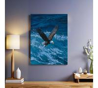 Bleu Tableau sur Toile Océan et aigle à tête blanche Mur Art Photos 50 x 40 cm Moderne Decor Murale Prête à Accrocher pour Chambre Bain Salon Chambre Restaurant Bar Café