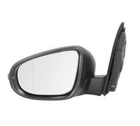 BLIC 5402-01-2002631P Rétroviseur extérieur