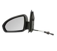 BLIC 5402-02-2002379P Rétroviseur extérieur