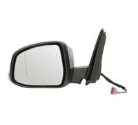 BLIC 5402-03-2001219P Rétroviseur extérieur