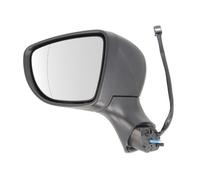 BLIC 5402-09-2002125P Rétroviseur extérieur pour RENAULT
