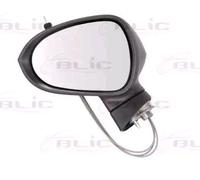 BLIC 5402-10-2002283P Rétroviseur extérieur