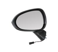 BLIC 5402-10-2002285P Rétroviseur extérieur