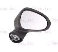 BLIC 5402-10-2002286P Rétroviseur extérieur