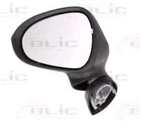 BLIC 5402-10-2002287P Rétroviseur extérieur