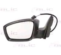 BLIC 5402-10-2002323P Rétroviseur extérieur