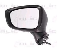 BLIC 5402-14-2001701P Rétroviseur extérieur