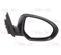 BLIC 5402-14-2001718P Rétroviseur extérieur