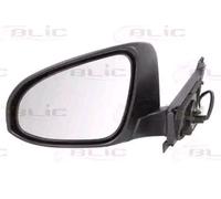 BLIC 5402-19-2002555P Rétroviseur extérieur