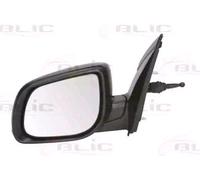 BLIC 5402-53-2001523P Rétroviseur extérieur
