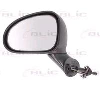 BLIC 5402-56-2001073P Rétroviseur extérieur