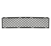 BLIC 5513-00-0076927P Grille de ventilation, pare-chocs