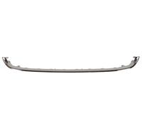 BLIC 5703-05-2013920P Baguette et bande protectrice, grille de radiateur