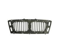 BLIC 6502-07-0057999P Grille de calandre