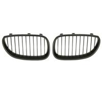 BLIC 6502-07-0066991KP Grille de radiateur pour BMW