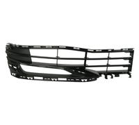 BLIC 6502-07-0068913P Grille de ventilation, pare-chocs
