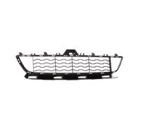 BLIC 6502-07-0070910P Grille de ventilation, pare-chocs