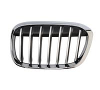 BLIC 6502-07-0082991P Grille de calandre