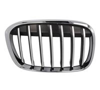 BLIC 6502-07-0082992P Grille de calandre