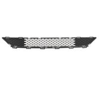 BLIC 6502-07-0939913PP Grille de calandre