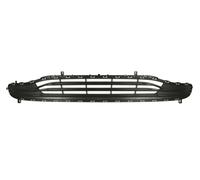 BLIC 6502-07-0941910P Grille de calandre