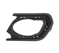BLIC 6502-07-1304912P Grille de calandre
