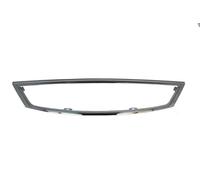 BLIC 6502-07-2555996Q Cadre, grille de radiateur