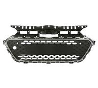 BLIC 6502-07-3130990P Grille de calandre