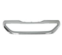 BLIC 6502-07-5516992P Bordure / Protection Bande, Radiateur Grille pour Peugeot