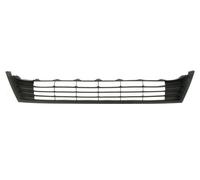 BLIC 6502-07-8119910P Bandeau pare-choc