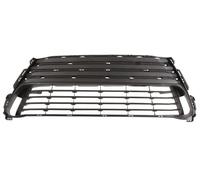 BLIC 6502-07-8173915P Grille de ventilation, pare-chocs