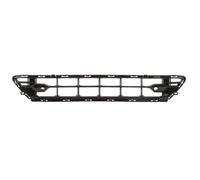 BLIC 6502-07-9058911P Grille de calandre noir