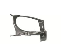 BLIC 6508-05-5507242P Fixation de phare pour PEUGEOT
